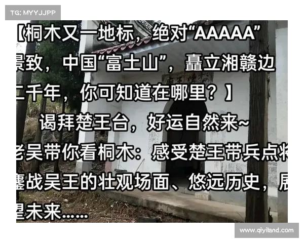 楚山凤舞,攻略楚王谋定山河 楚山凤舞,攻略楚王谋定山河
