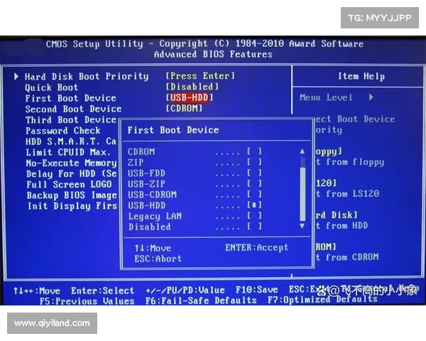 电脑仅限进入BIOS,如何升级BIOS? 电脑仅限进入BIOS,如何升级BIOS?